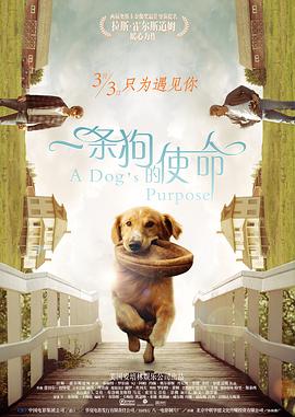 亚洲三级中文字幕
