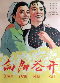 xinxin44最新电视剧正在播放